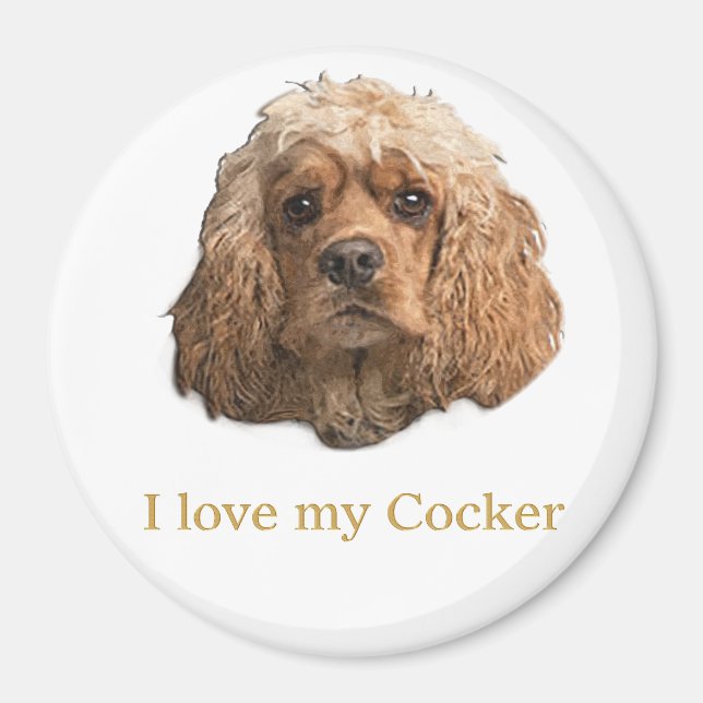 cocker Spaniels Magnet (Front)