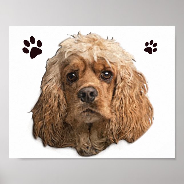cocker Spaniels Poster (Front)