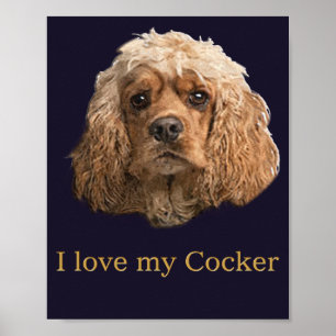 cocker Spaniels Poster