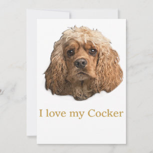 cocker Spaniels Thank You Card