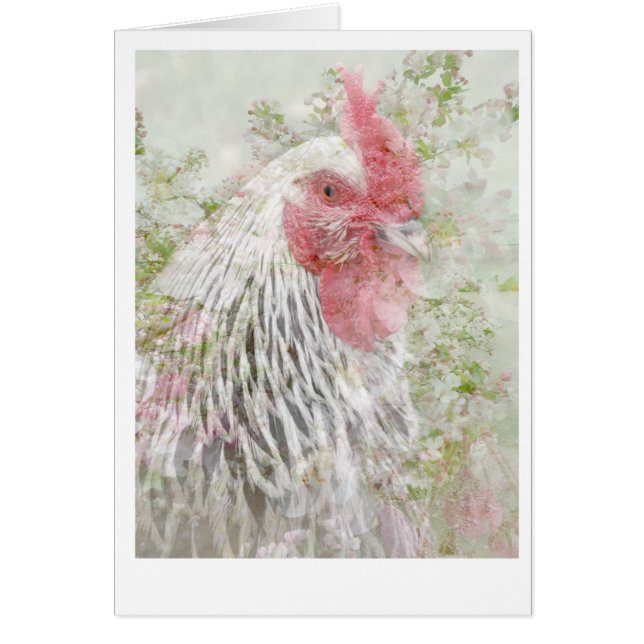 Cockeral in flowers. (Front)