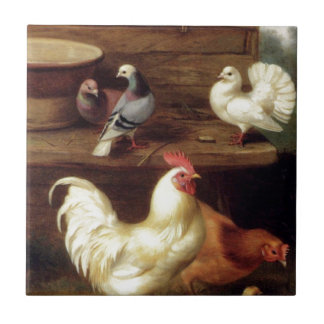 Cockerel Hen And Chicks With Pigeons Farm Animals Ceramic Tile