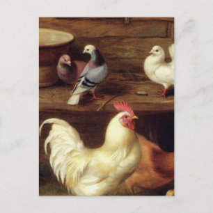 Cockerel Hen And Chicks With Pigeons Farm Animals Postcard