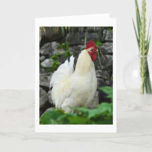 Cockerel in Madeira Holiday Card