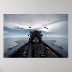 Cockpit Selfie Poster