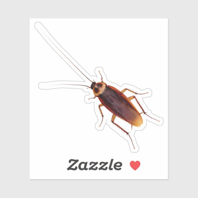 Cockroach (Sheet)