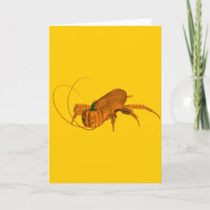 Cockroach Card