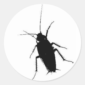 cockroach classic round sticker