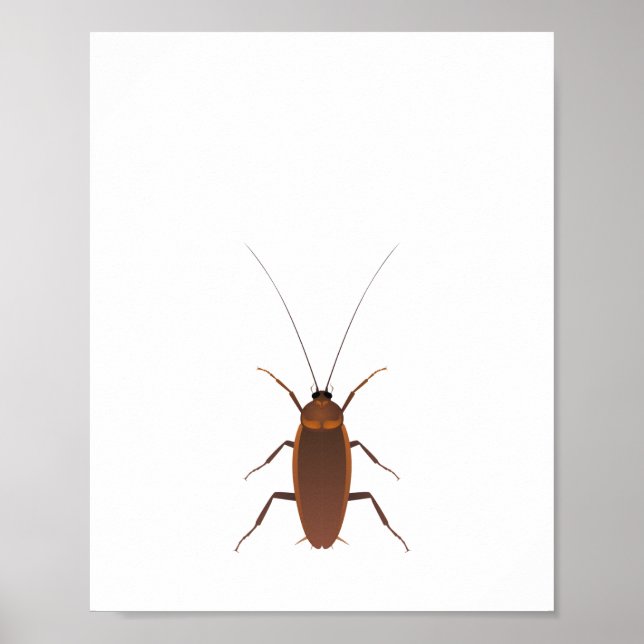 Cockroach Insect Poster (Front)