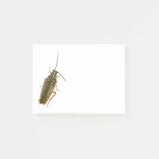 Cockroach Post-it Notes