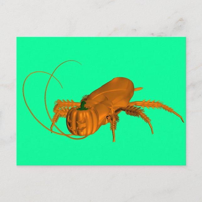 Cockroach Postcard (Front)