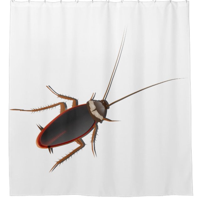 Cockroach Shower Curtain (Front)