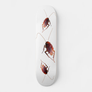 Cockroach Skateboard