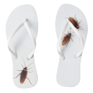 Cockroach Thongs
