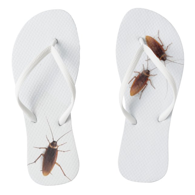 Cockroach Thongs (Footbed)