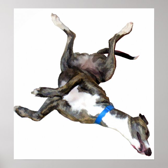 Cockroaching Poster (Front)