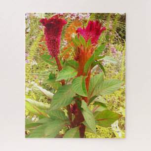 COCKSCOMB FLOWER JIGSAW PUZZLE