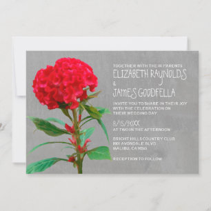 Cockscomb Wedding Invitations