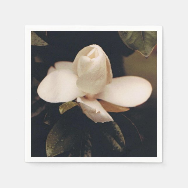 Cocktail Napkins with a Magnolia Blossom Design (Front)