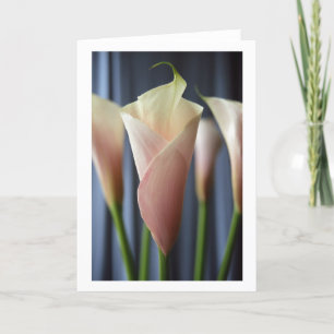 Cocktail Party White Calla Lily Greeting Cards