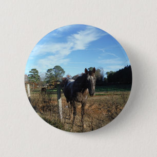 Coco and Cream brown horse 6 Cm Round Badge