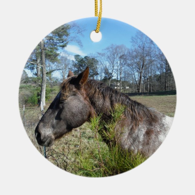 Coco and Cream Coloured Horse Ceramic Ornament (Front)