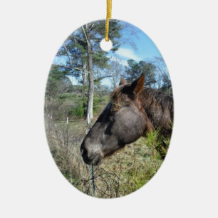 Coco and Cream Coloured Horse Ceramic Ornament