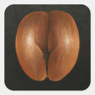 Coco de Mer 2010 Square Sticker