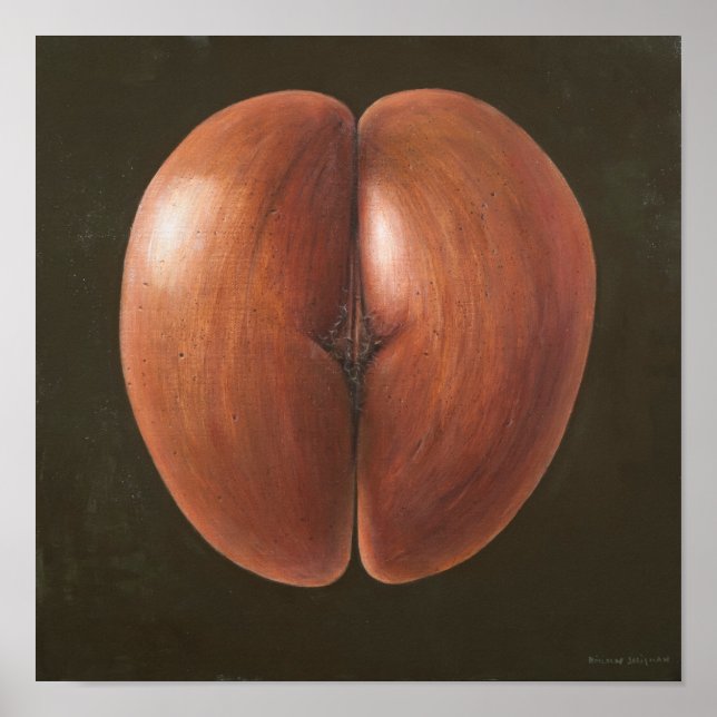 Coco de Mer Maldives 2012 Poster (Front)