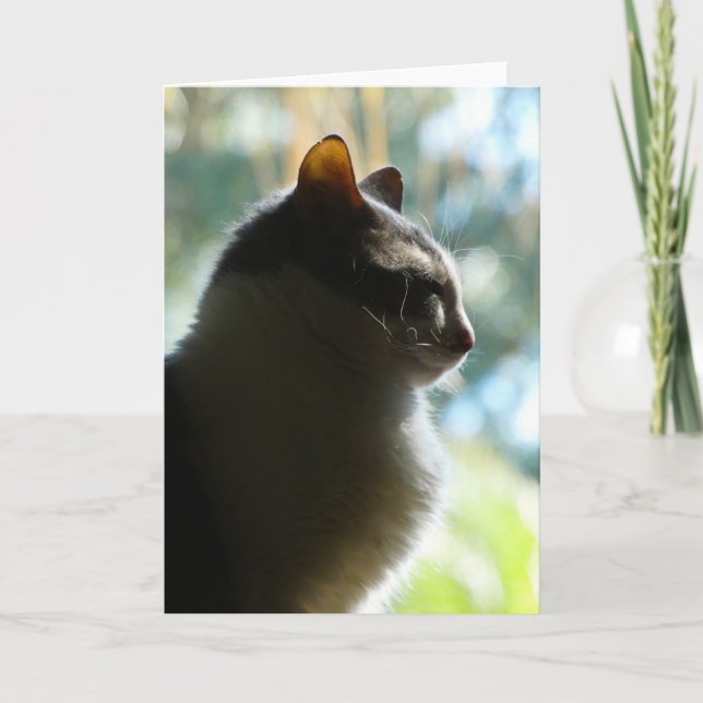 "Coco in the Window." Greeting Card (Front)