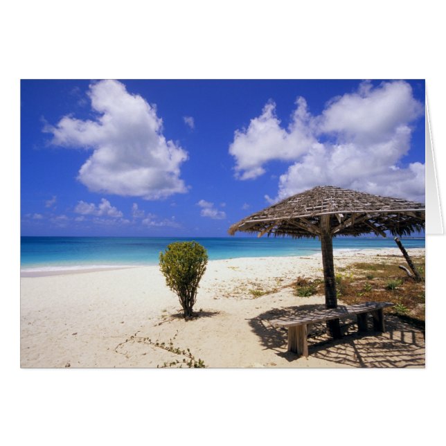 Coco Point Beach, Barbuda, Antigua (Front Horizontal)