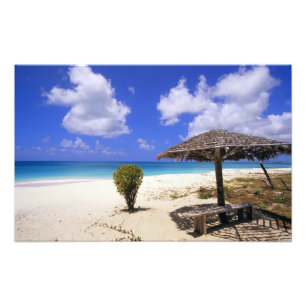 Coco Point Beach, Barbuda, Antigua Photo Print