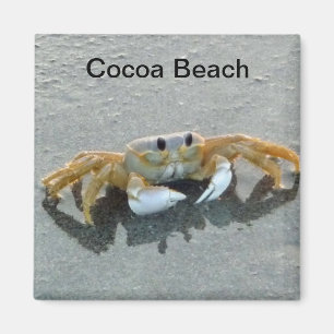 Cocoa Beach Crab Photo Magnet Florida