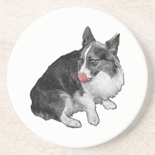 Cocoa Break, Scarlet Tip Coaster