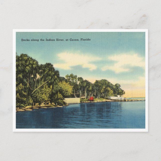 Cocoa, Florida Indian River vintage Postcard (Front)