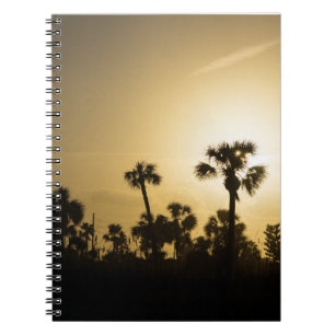 Cocoa Palm Silhouette Notebook