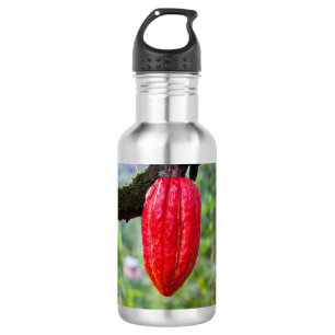 cocoa pod red 532 ml water bottle