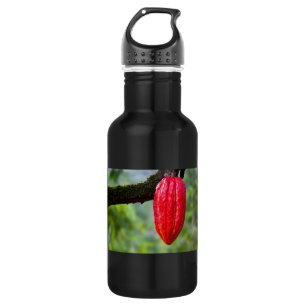 cocoa pod red 532 ml water bottle