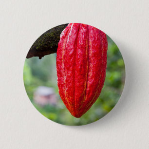 cocoa pod red 6 cm round badge