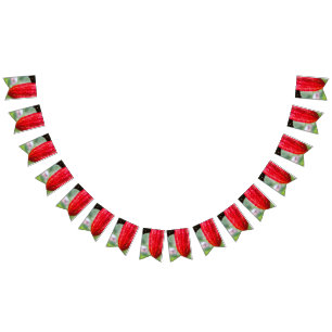 cocoa pod red bunting 