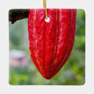 cocoa pod red ceramic tree decoration