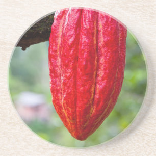 cocoa pod red coaster