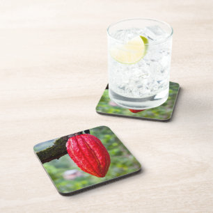 cocoa pod red coaster