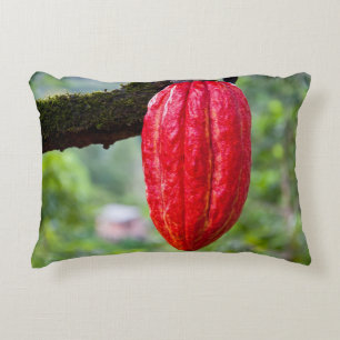 cocoa pod red decorative cushion