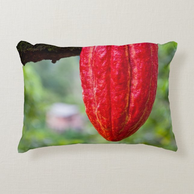 cocoa pod red decorative cushion (Front)