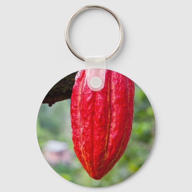cocoa pod red key ring (Front)