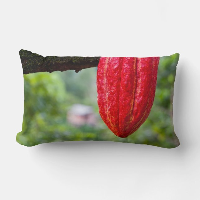 cocoa pod red lumbar cushion (Front)