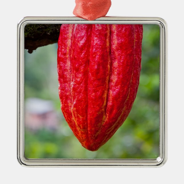 cocoa pod red metal tree decoration (Front)