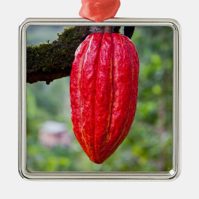 cocoa pod red metal tree decoration (Front)