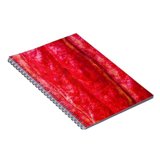 cocoa pod red notebook (Right Side)